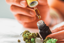 How Is Cbd Oil Made