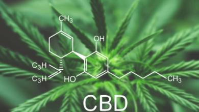 How Long Does Cbd Stay in Your Urine