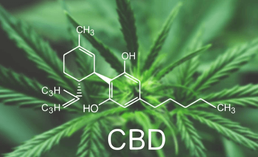 How Long Does Cbd Stay in Your Urine