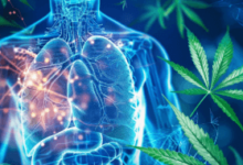 Is Cbd Bad for the Liver