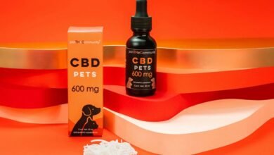 administer cbd oil safely