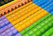 buying cbd for dogs