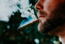 cbd and dry mouth