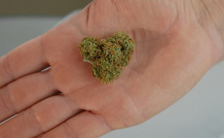 cbd and relapse concerns