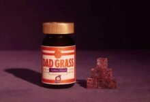 cbd infused gummy candies