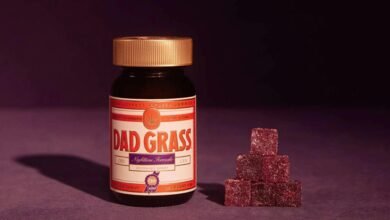 cbd infused gummy candies