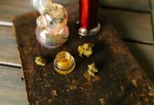 cbd oil drug testing