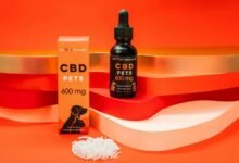 cbd oil for cats