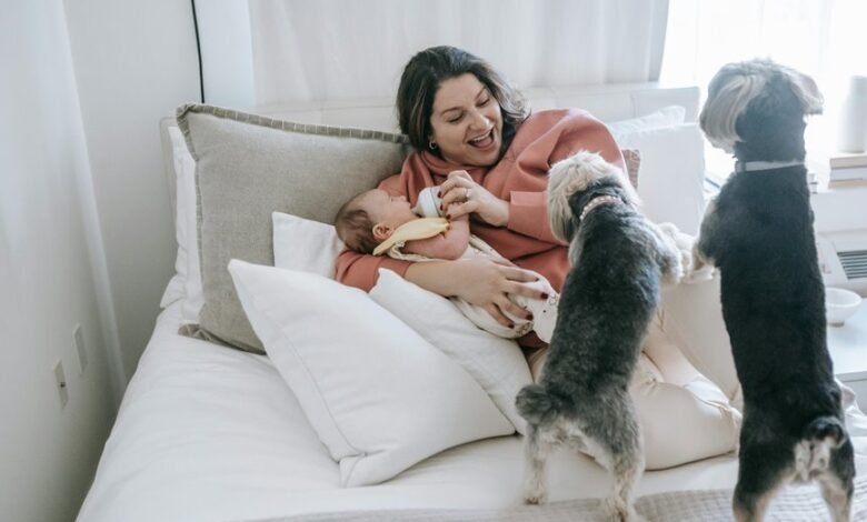 cbd safety for dogs