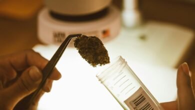 cbd urine test results