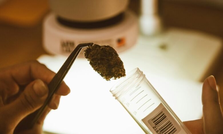 cbd urine test results