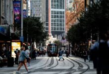 explore sydney s vibrant cbd