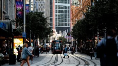 explore sydney s vibrant cbd