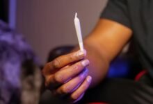 find your ideal cbd