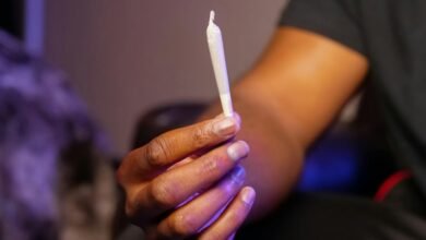 find your ideal cbd