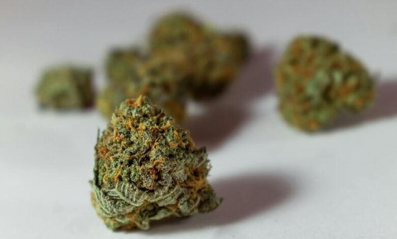 thc versus cbd for pain