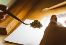topical cbd and drug tests