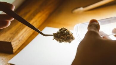 topical cbd and drug tests