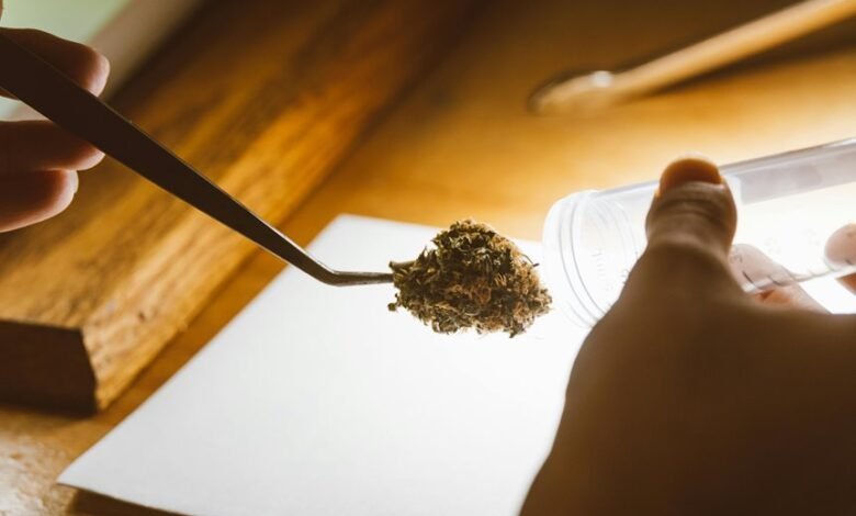 topical cbd and drug tests