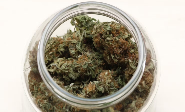 THCA Flower