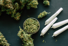 Medicinal Cannabis for the Treatment of Anxiety Disorders