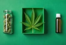 Cannabis Packaging Solutions That Balance Product Protection, Safety, and Sustainability