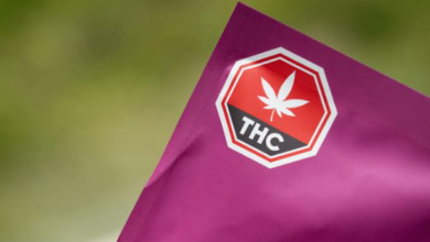 Why Are Vancouver Shoppers Considering Budora for Cannabis Edibles?
